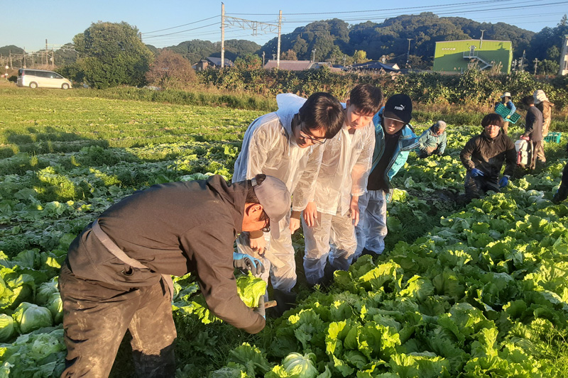 【内定者向け産地研修】レタス 〜静岡県〜